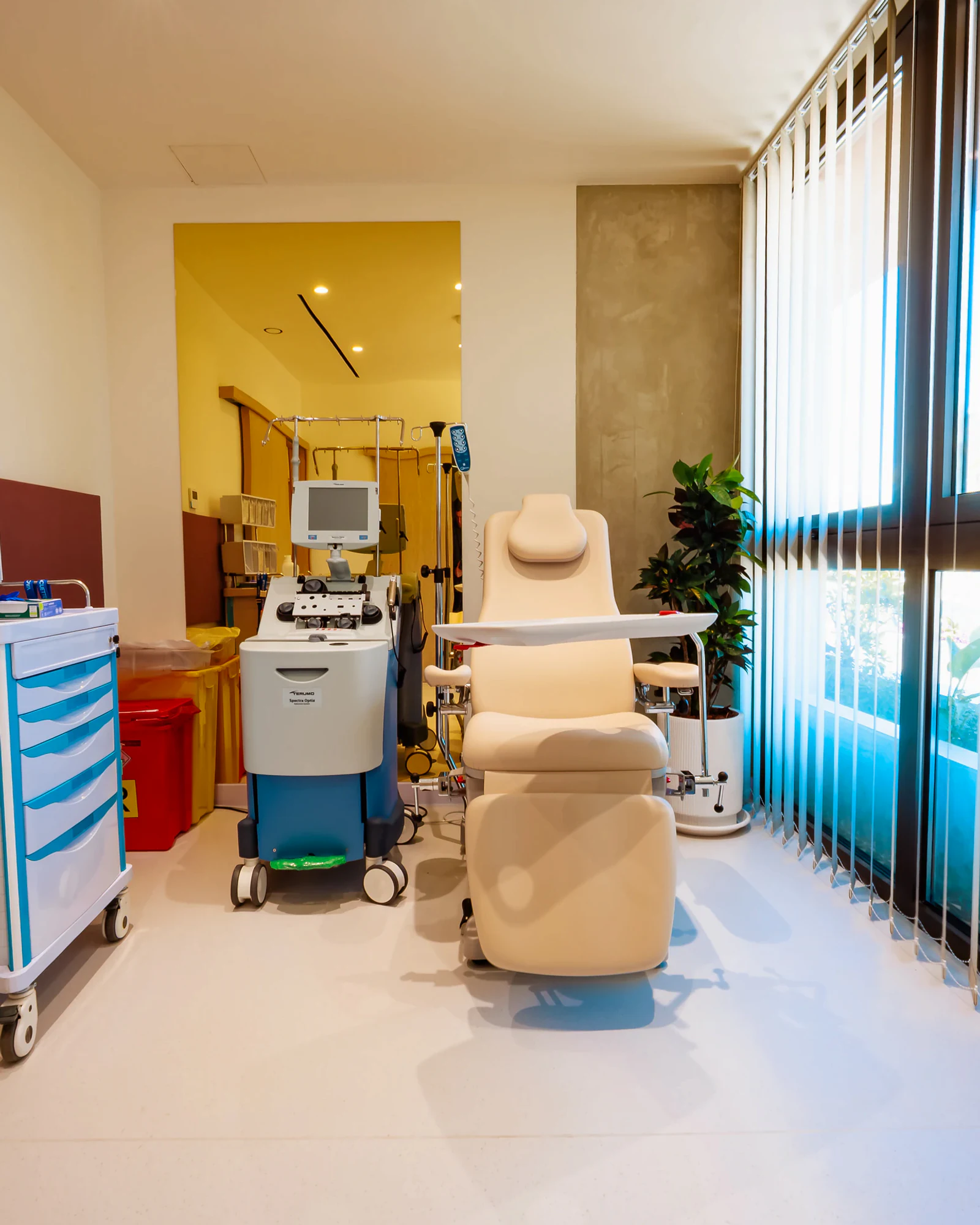 Plasma Exchange at AION in Limassol, Cyprus